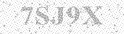 enter the code shown above