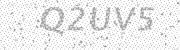 enter the code shown above